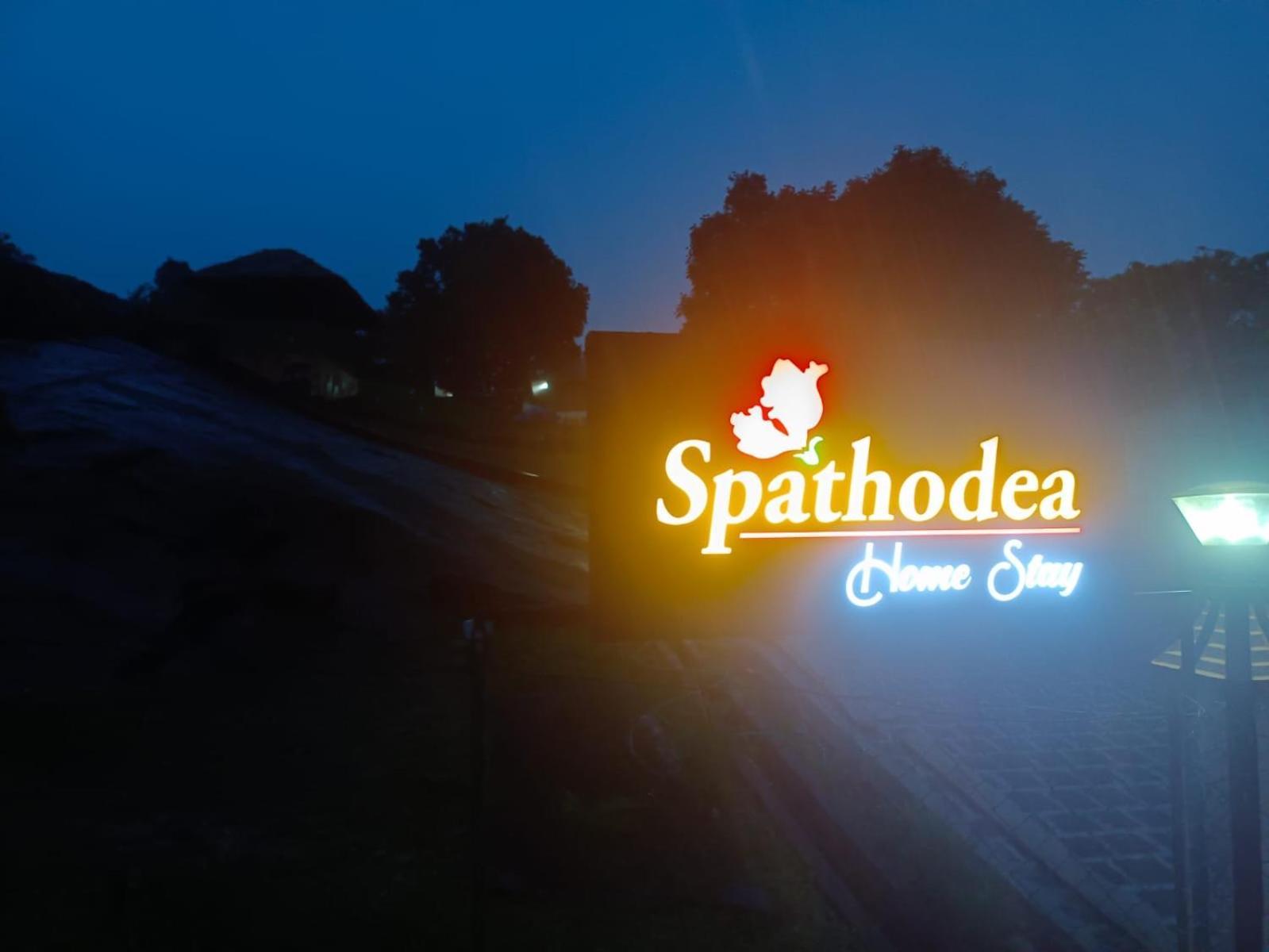 Spathodea Vagamon Eksteriør billede
